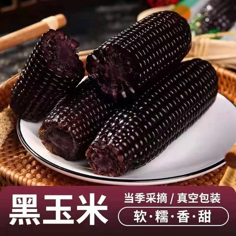 黑糯玉米正宗东北新鲜黑玉米甜糯8支装多送2支软糯甜早餐代餐粗粮