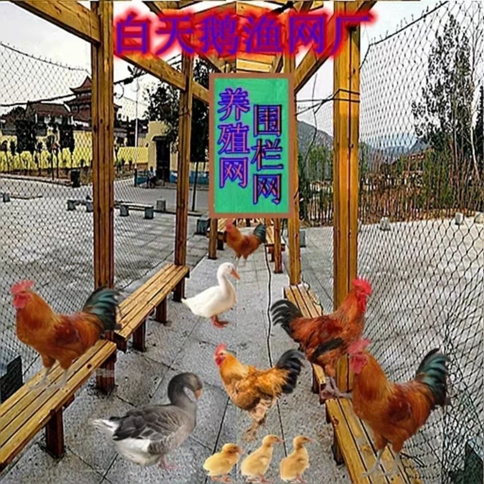养鸡围鸡拦鸡养殖网山鸡网菜园网户外养鸡鸭鹅网顶网18股全新料