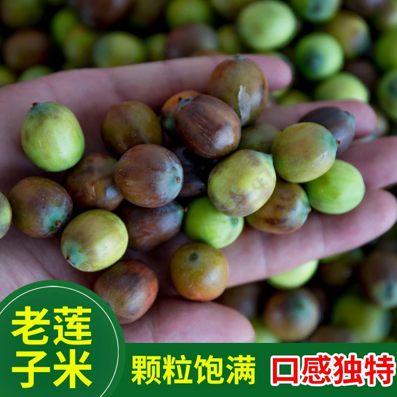 【当天现摘】新鲜带壳莲子3斤  新鲜莲子广昌山泉水种植