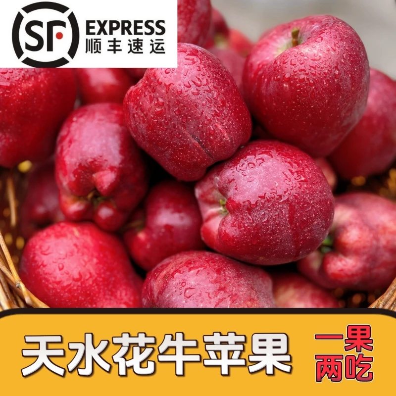 【顺丰包邮】甘肃天水花牛苹果现摘产地直发脆粉两吃整箱包邮