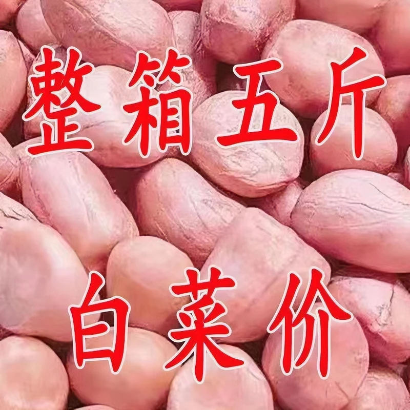 【特价】新花生米特级不带壳新鲜粉皮白沙花生仁手工挑选花生米批发