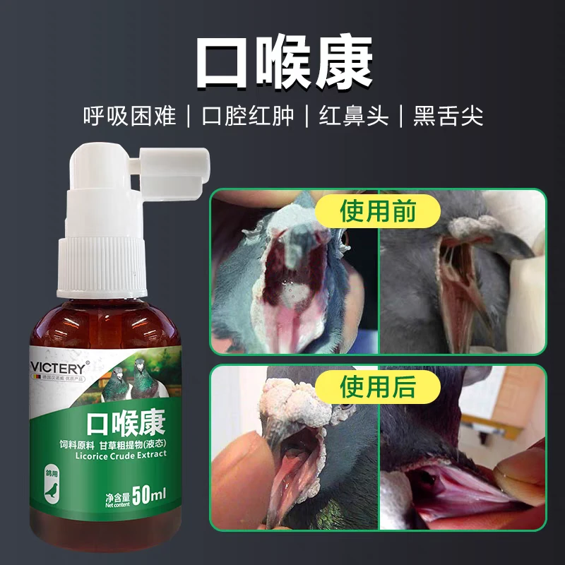白色念珠菌鸽汉诺威口喉康毛滴虫清口黄呼吸道喷口净鸽子