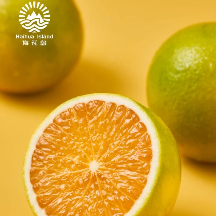 海南省琼中黎苗自治县绿橙