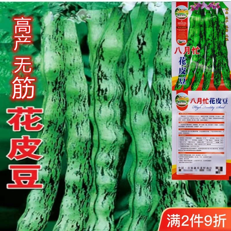 花皮豆角种子八月忙无筋花皮花芸豆新豆架豆王油豆角蔬菜种子大全