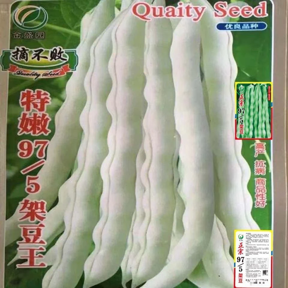 特嫩97/5架豆王种子高产早熟四季豆蔬菜种子春秋大田摘不败原包装