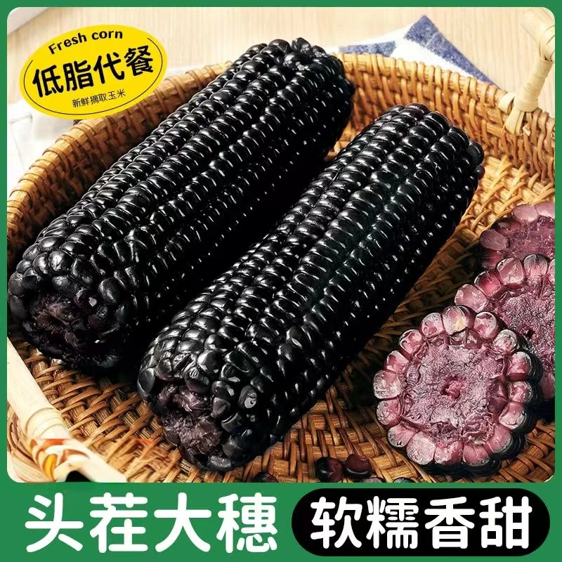 大果280g-320g10棒东北玉米黑糯玉米香甜软糯8棒+2棒