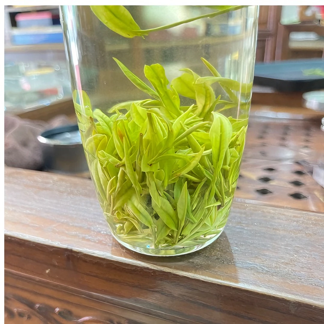 （C6）2023年新茶明前安吉头采珍稀白茶春季铁罐装礼盒装