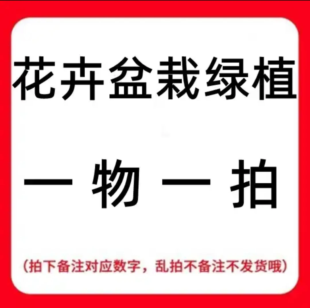 茶花 一物一拍专场 备注收件人手机尾号后四位 价格