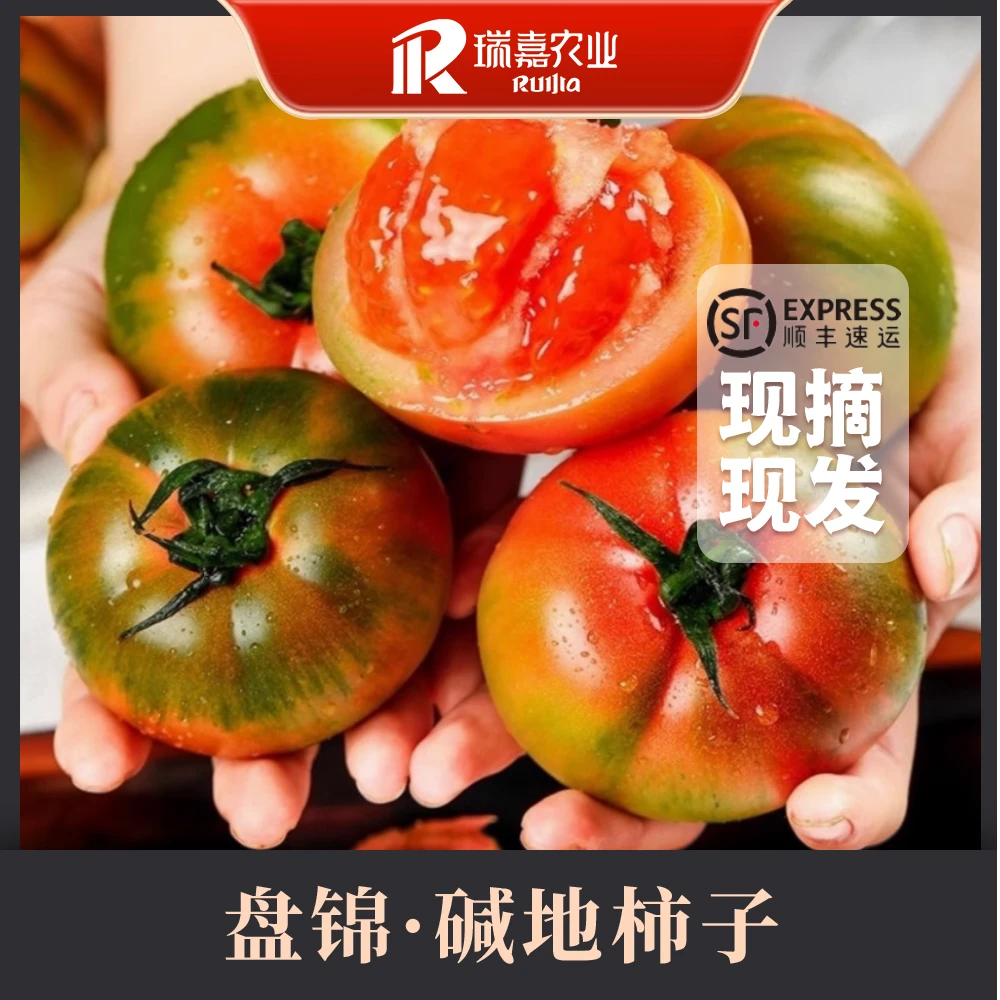 【顺丰包邮】2024碱地柿子自然熟新鲜水果 小果