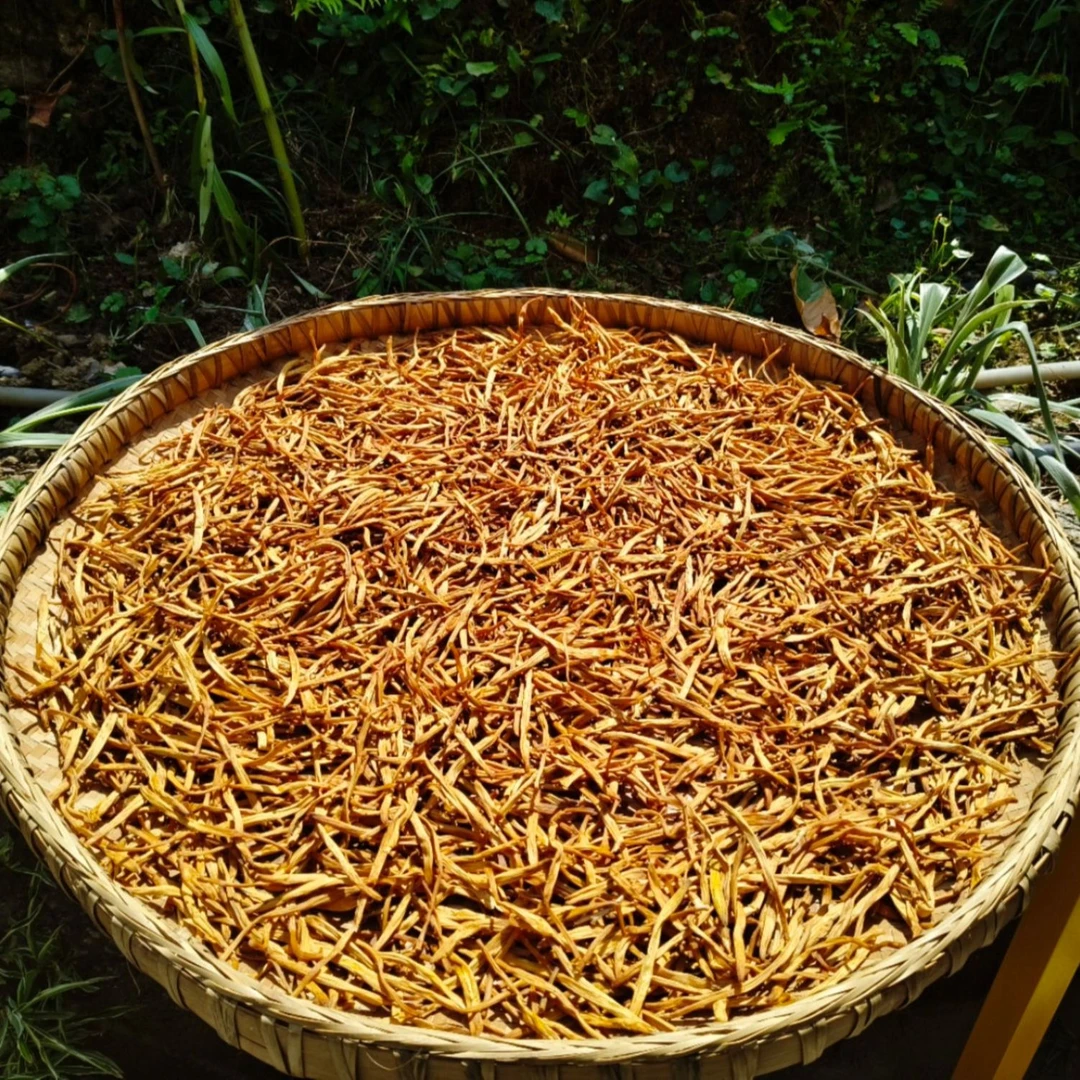 【陈孟助农】城口大巴山干黄花