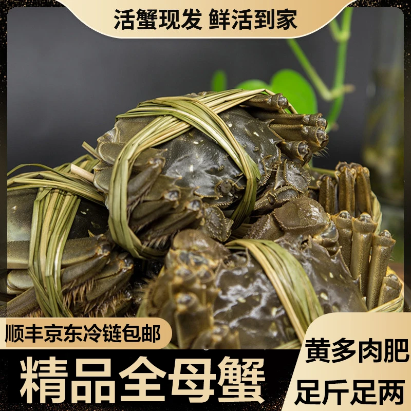 【活蟹现货】金标蟹活蟹现发大闸蟹全母蟹2.5两 8-10只装礼盒发货