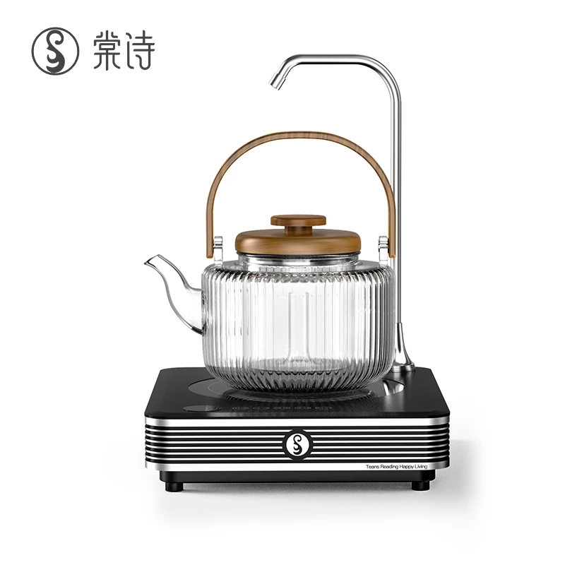 棠诗蒸茶煮茶器大容量高硼硅煮茶壶套组茶具套装金属电陶炉多档位