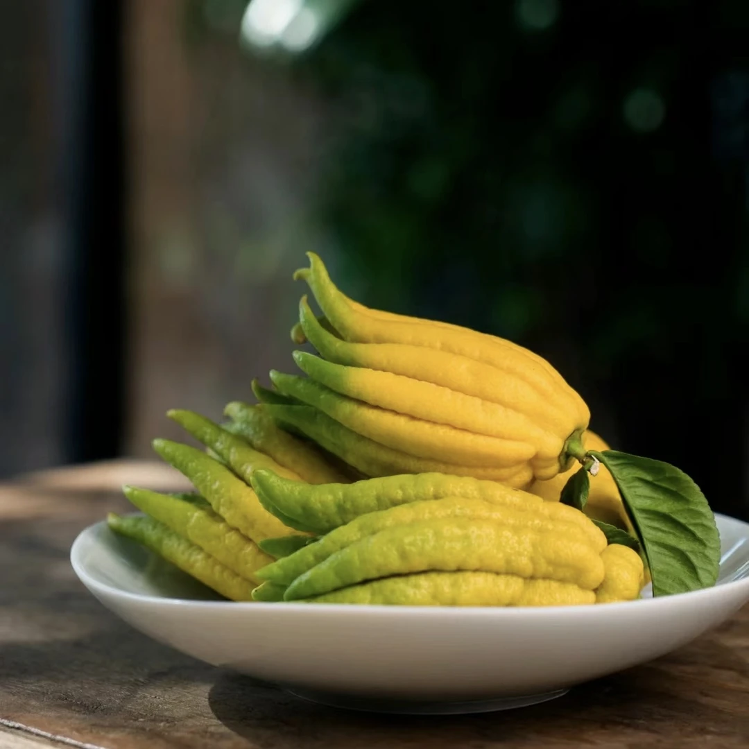 高品质【香薰果佛手柑】云南基地直采直发 家居清供观赏果