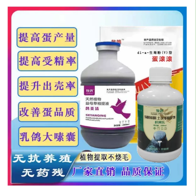 牧鸽鸽炎清+肝肾乐+蛋滚滚 蛋蛋好好套餐 提高受精率改善蛋品质