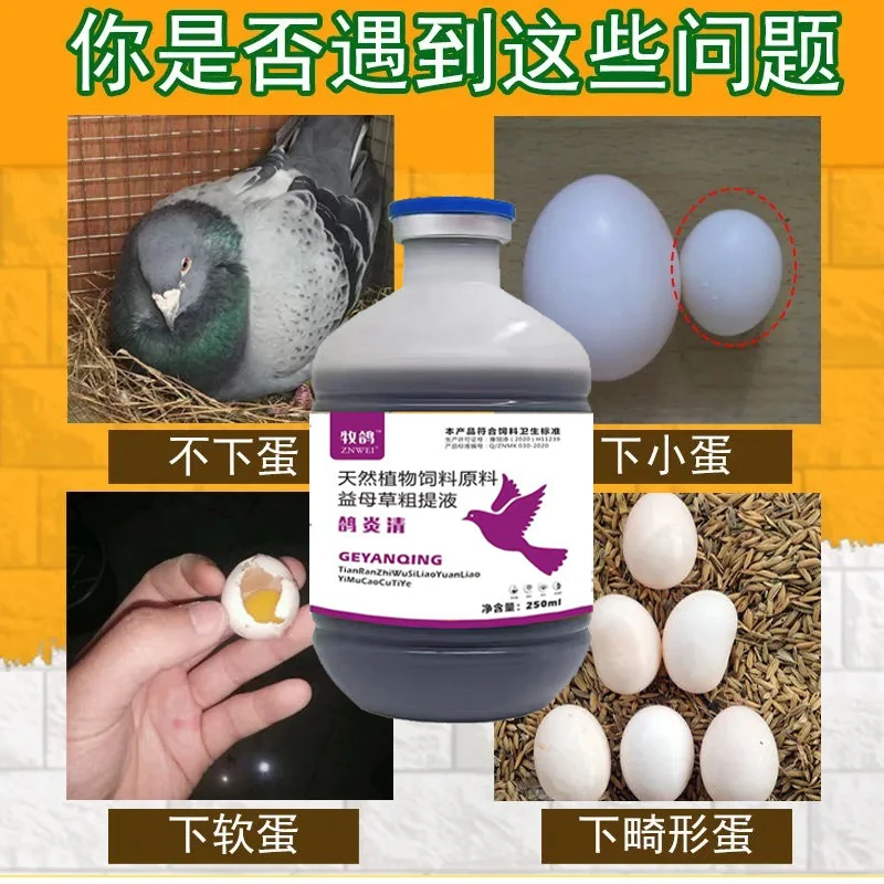 牧鸽鸽炎清 消输卵管炎减少沙壳蛋促进消化 纯植物粗提添加剂饲料