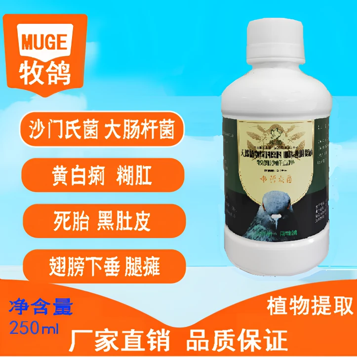 牧鸽沙杆立净（大瓶）缓解沙门氏腿瘫畜牧黑出壳率低大瓶更划算