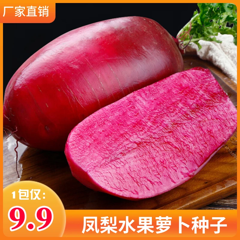 凤梨水果萝卜种子红皮红瓤萝卜种籽