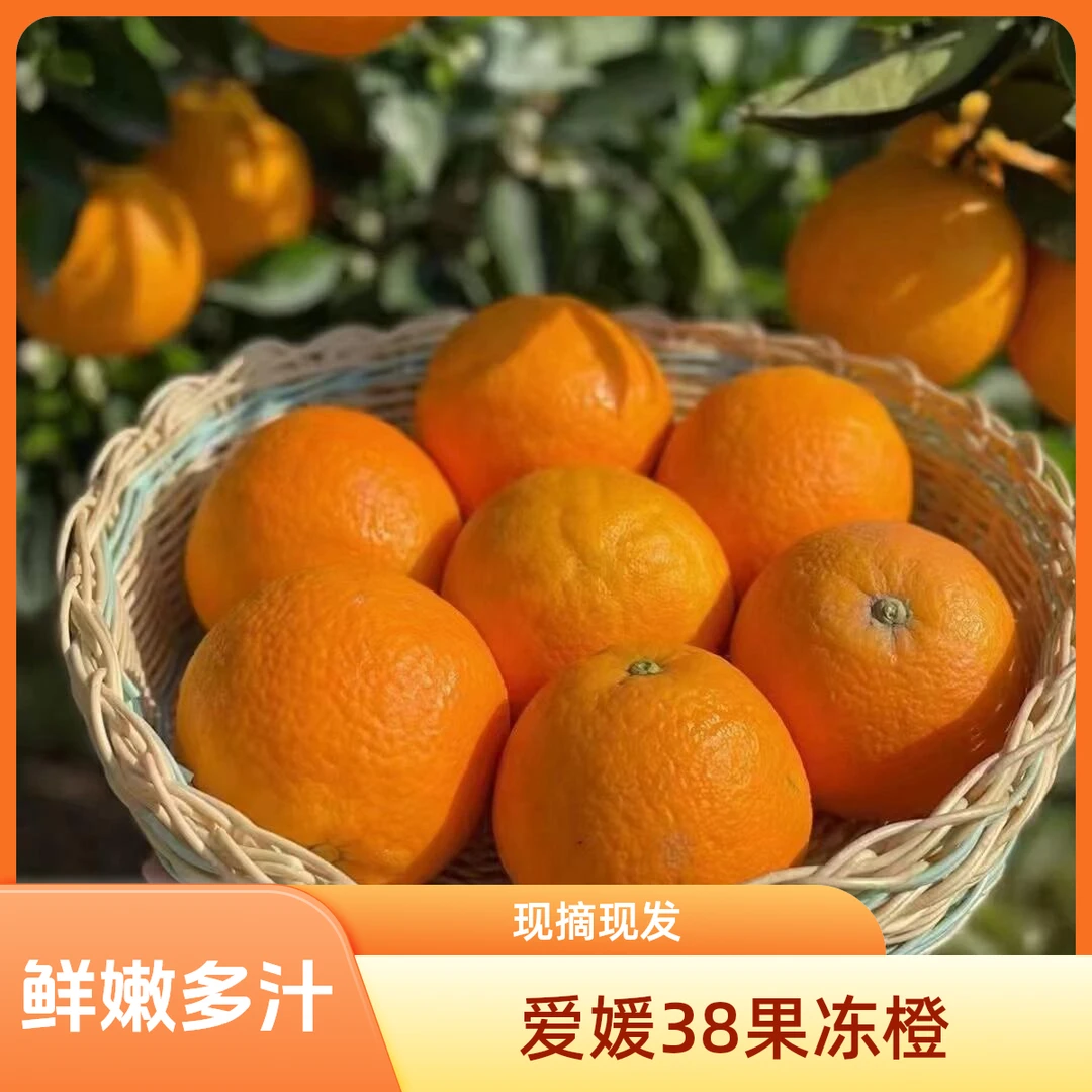 四川爱媛38号果冻橙应季鲜果薄皮橙现摘现发手剥橙子多汁2/5/10斤