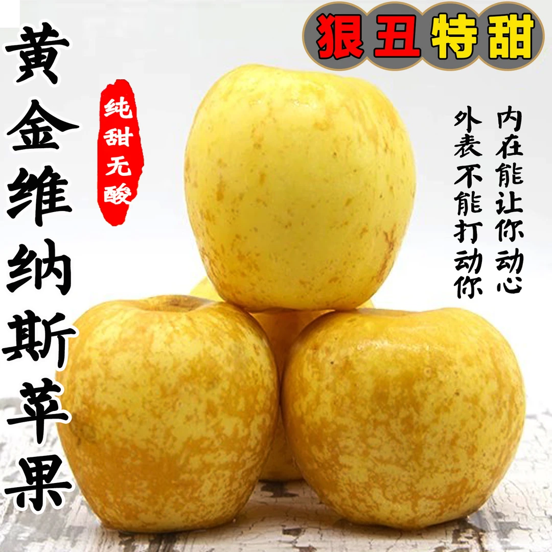 山东糖炸有绣沙地维纳斯苹果黄金苹果脆甜多汁高山苹果农户包邮