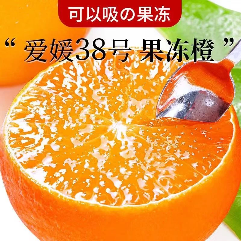 【坏果包赔】正宗四川爱媛38号果冻橙2-5斤新鲜采摘现摘皮薄橙子