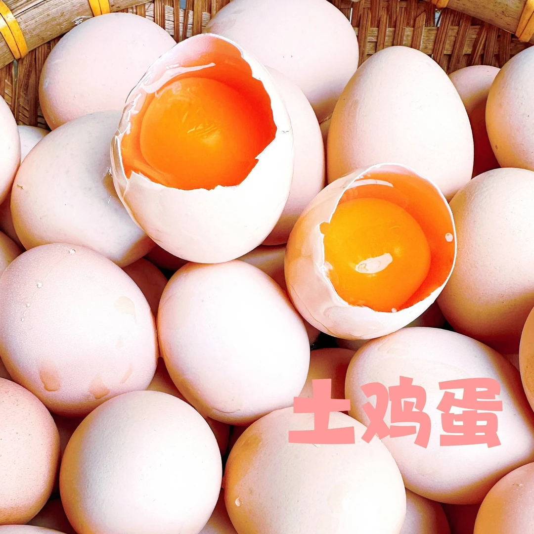 芳芳源散养土鸡蛋（50个） 嫩滑Q弹 清香怡人 无腥味农产品食用