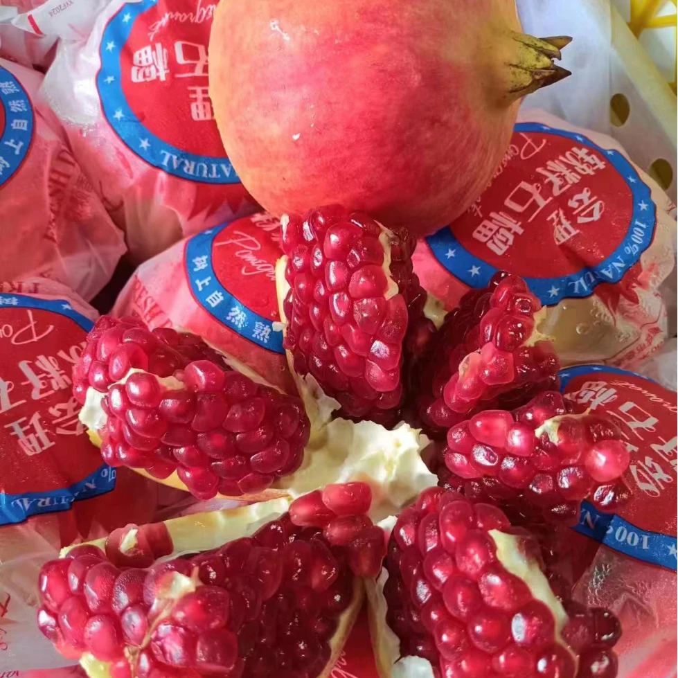 新到四川会理特大突尼斯软籽石榴 单果1.2斤以上