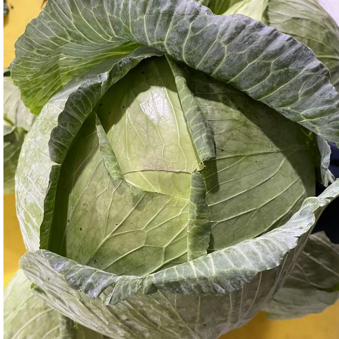 包包菜莲花白牛心菜贵州特产新鲜蔬菜露天种植现摘现发3/5/9斤装