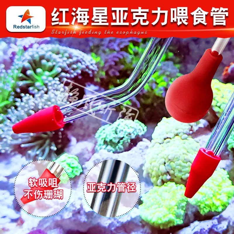 红海星亚克力玻璃鱼缸珊瑚喂食器吸管珊瑚缸海缸喂食用品