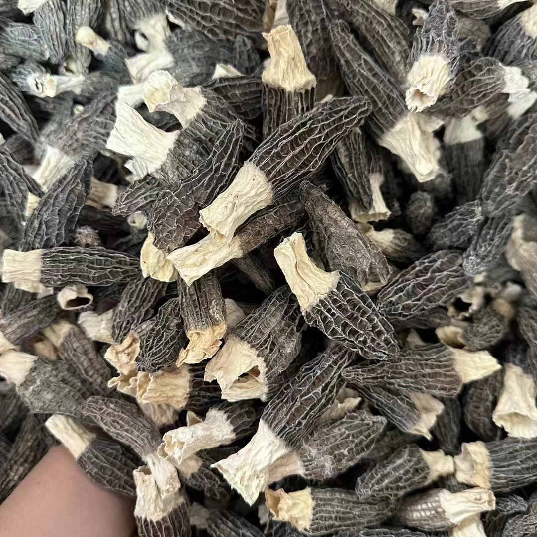 头茬羊肚菌精品特级500g干货礼盒装菌新鲜羊肚菇煲汤