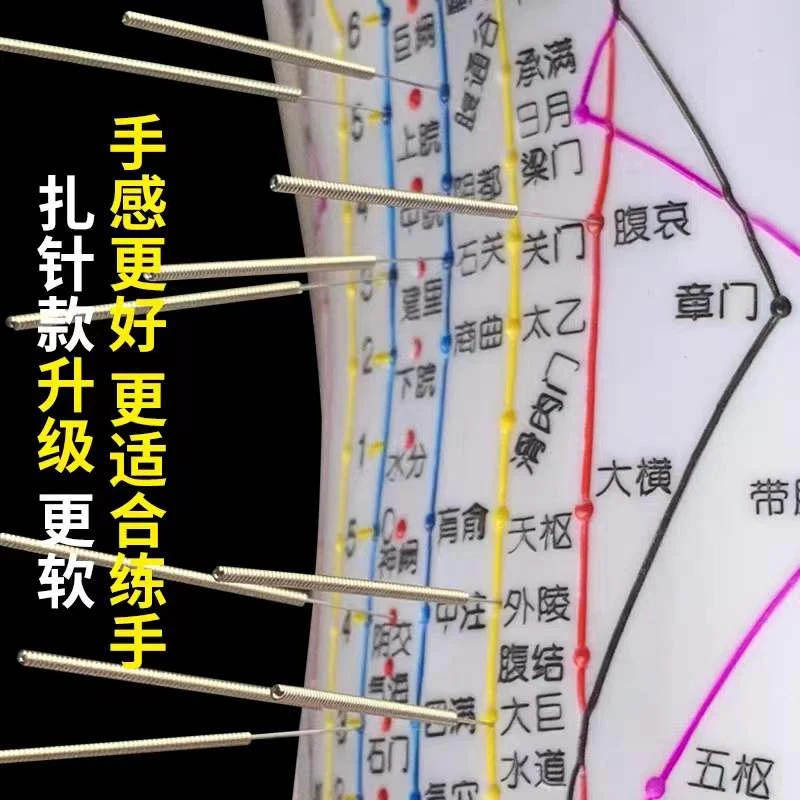 针灸人体模型超清大字体经络穴位模型男女十二经络小皮人针灸穴位