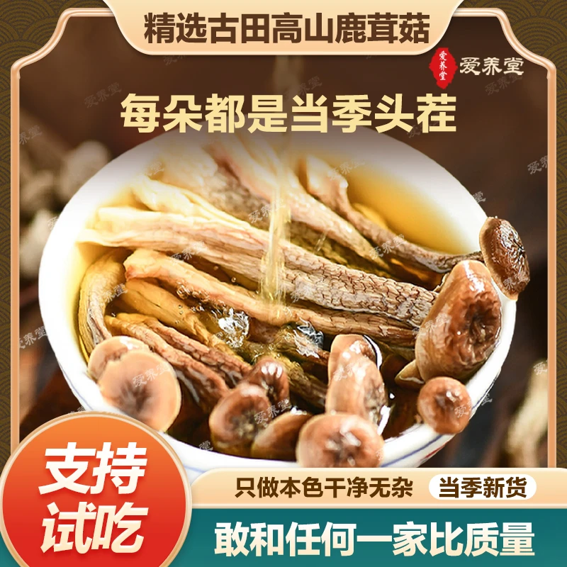 【精品级高山鹿茸菇】干货脆脆菇炒菜煲汤食材菌汤鲜香鹿茸菇干货
