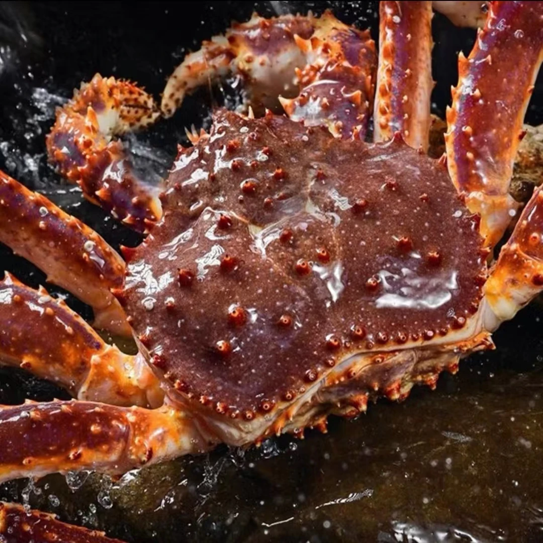 【阿拉斯加】帝王蟹  活冻帝王蟹  液氮锁鲜 包鲜不包活 送礼 顺丰