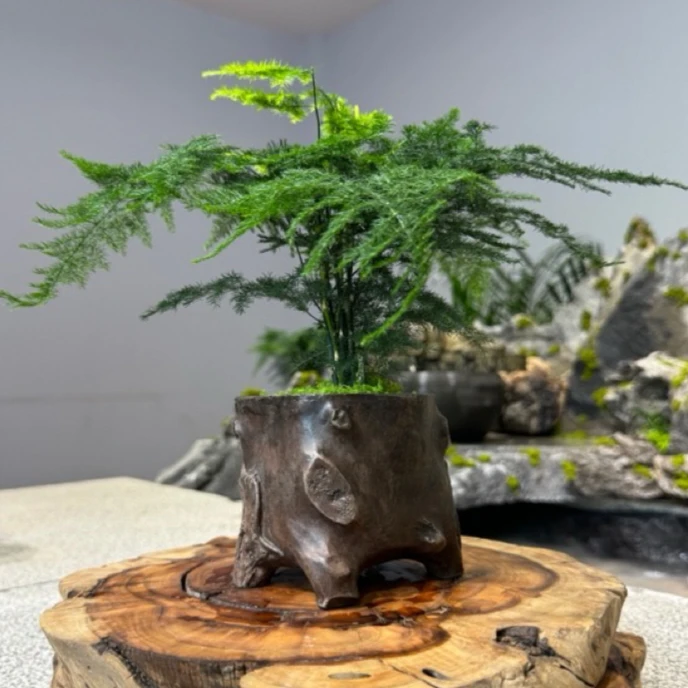 新中式复古怀旧风冷陶花盆手工创意桌面禅意盆景