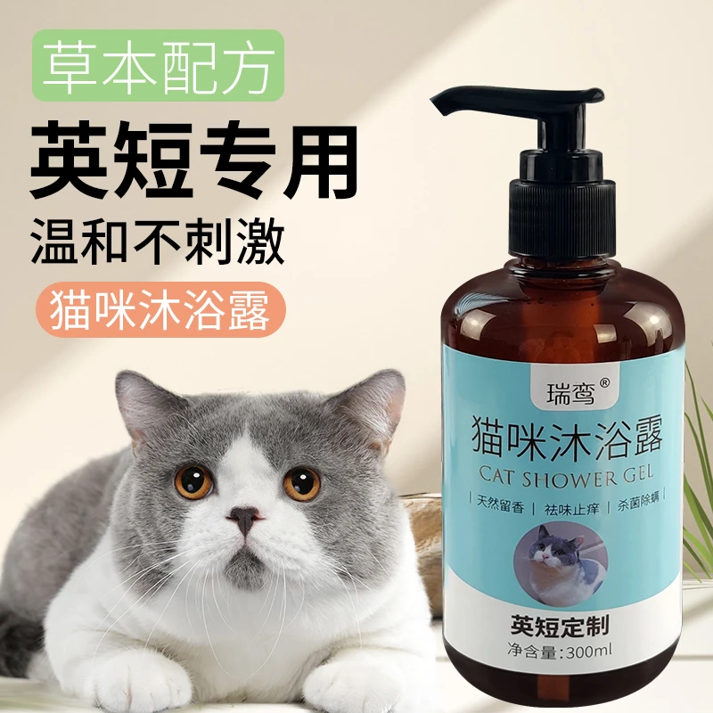 英短猫专用沐浴露猫咪洗澡洗护二合一猫祛污柔顺抑菌亮毛宠物用品