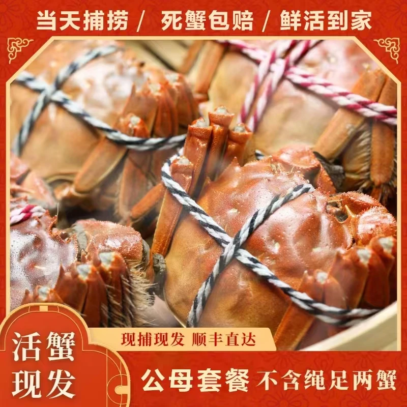 【蟹语阁】3.1-2.8两母蟹4只加3.1-2.8两公蟹4只拍八送四到手12只
