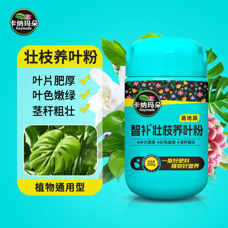 卡纳玛朵养叶粉观叶植物花卉多肉通用型月季发财树小叶黄叶水溶肥