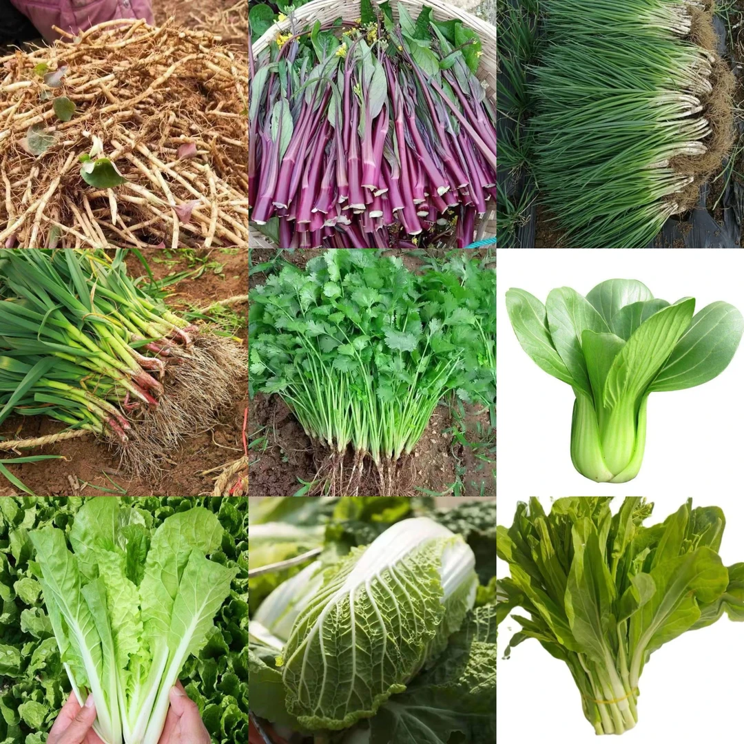 【硒都特产】农家自种蔬菜