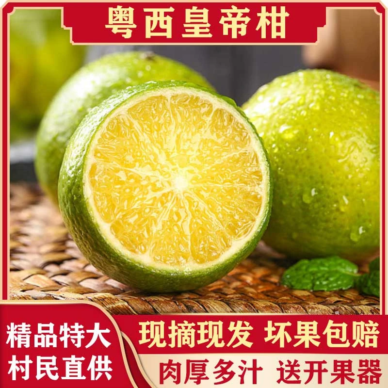 【新货】正宗粤西皇帝柑当季水果3/5/9斤新鲜采摘头茬柑橘贡柑香甜