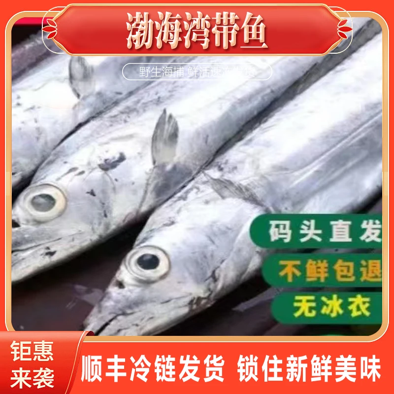【顺丰包邮去头去尾4斤净重】4-6两/条渤海湾刀鱼新鲜海捕
