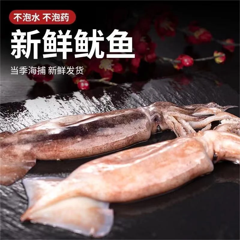 【鱿鱼4斤】深海海捕鱿鱼新鲜顺丰包邮新鲜精品速冻