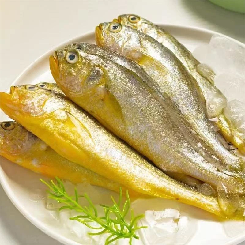 【小黄花鱼4斤】新鲜海捕野生小黄花鱼新鲜冷冻顺丰包邮
