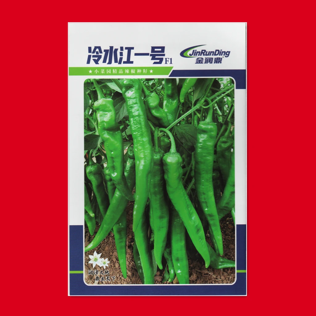 冷江一号辣椒种子湖南老品种辣椒本地辣椒籽香辣美味阳台菜园辣椒