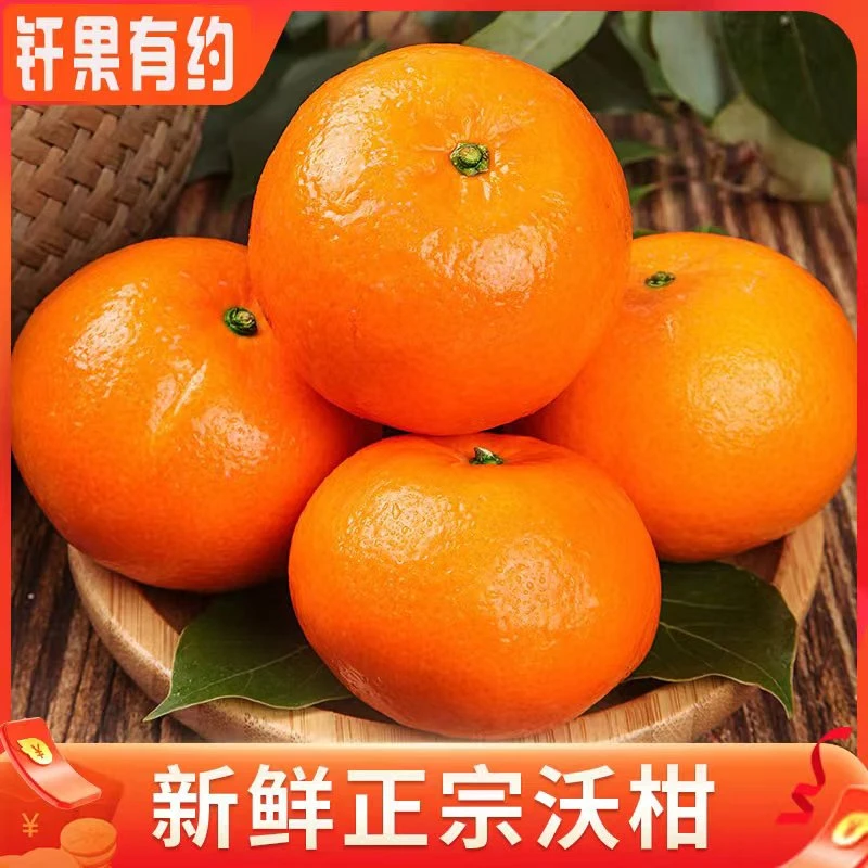 TH云南高山新鲜沃柑品质5斤装酸甜多汁皮薄肉厚应季水果包邮发货