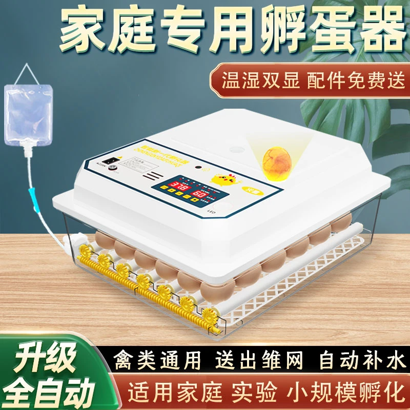 全自动家用智能小型孵化器鸡鸭鹅鸽鹌鹑芦丁鸽子蛋孵蛋器孵化箱