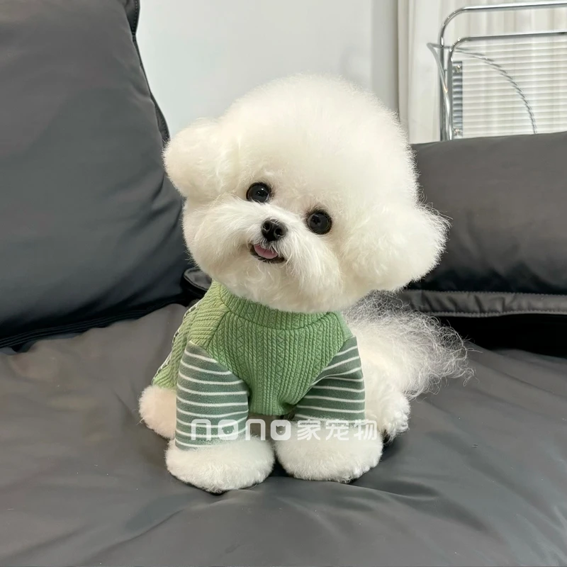 比熊狗狗衣服秋冬新款D字扣拼接卫衣舒适柔软打底衫宠物猫咪泰迪