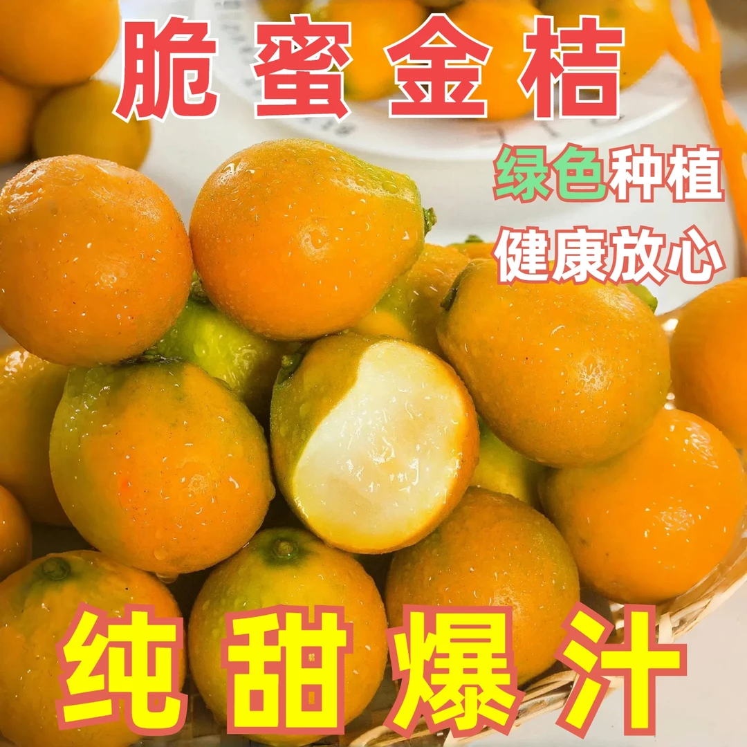 茉莉红融安脆蜜金桔家庭装新鲜采摘产地直发无渣无核纯甜无酸爆汁