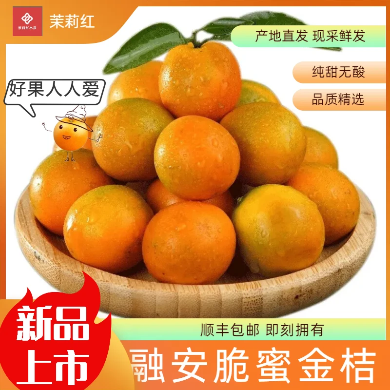 茉莉红华姐绿色果园融安地标脆蜜金桔家庭装纯甜无酸无核皮薄多汁