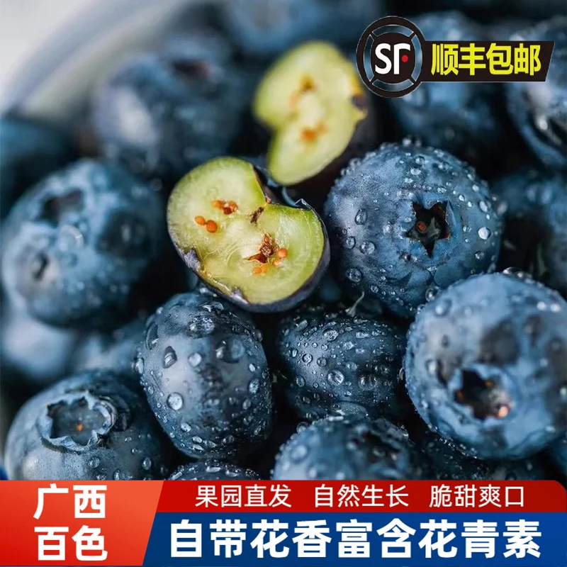 直播间福利广西L25蓝莓15+粒大饱满汁水丰富脆甜可口花香浓郁爽脆
