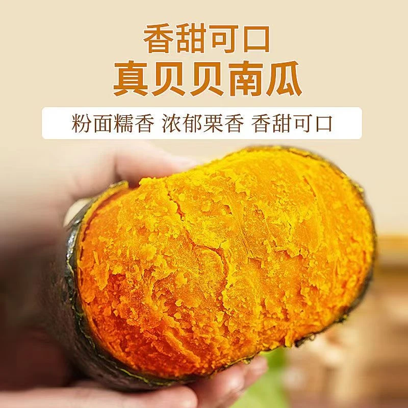 正宗沙漠贝贝南瓜粉糯香甜皮薄肉厚新鲜蔬菜宝宝辅食代餐栗香贝贝