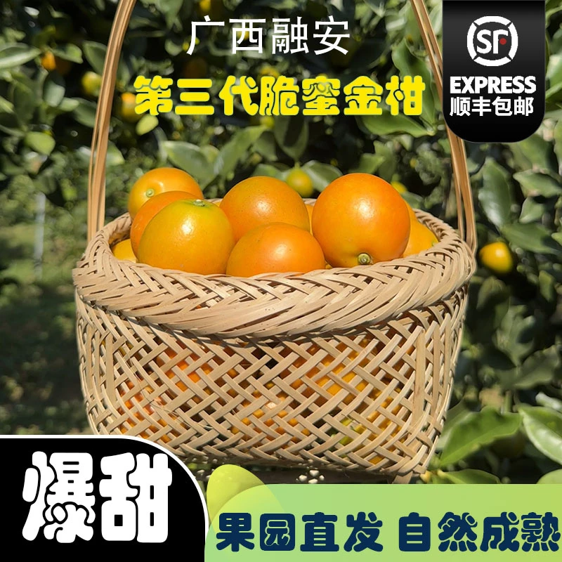 正宗广西融安脆蜜金桔独立包装第三代脆蜜金柑纯甜无籽鲜果礼盒